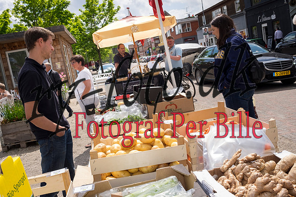 sommermarked-20150606-9888