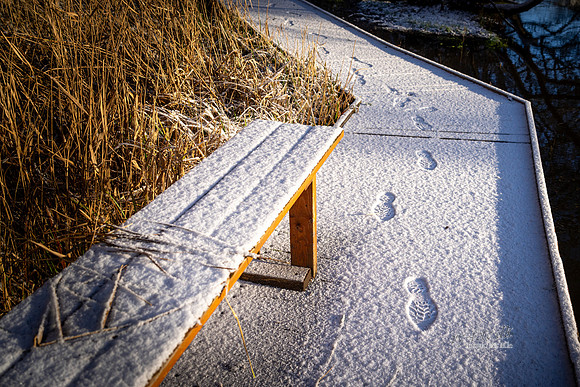 Vinter Emborg bro-print-Fotograf Per Bille-20250103AAA06058