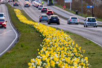 Skanderborg-web-fotograf Per Bille-20250407AAA06351