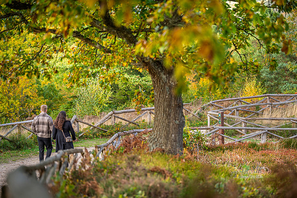 Himmelbjerg-web- Fotograf Per Bille-20261017-AAA03625