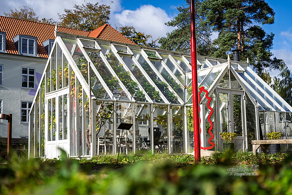 Flok-web- Fotograf Per Bille-20261017-AAA03432