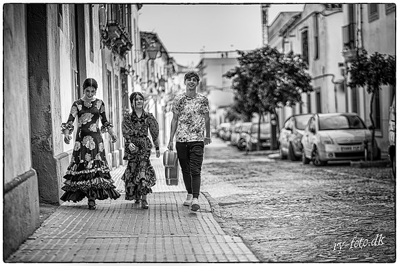 Flamenco-web - Fotograf Per Bille-20211012-DSC07025-Edit