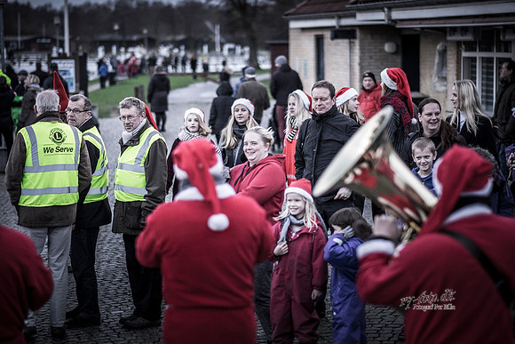 Juletræstænding-20151129-3068