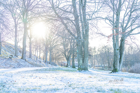 Ry Marina-web-Fotograf Per Bille 20260103-AAA02503