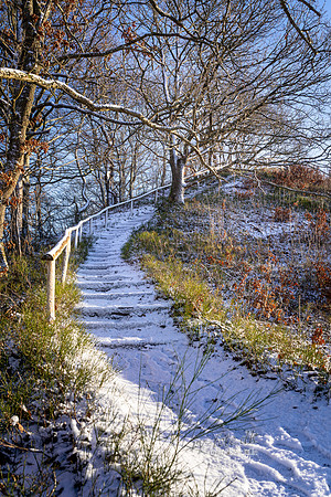 Vinter Galjebakken-print-Fotograf Per Bille-20250103AAA06109