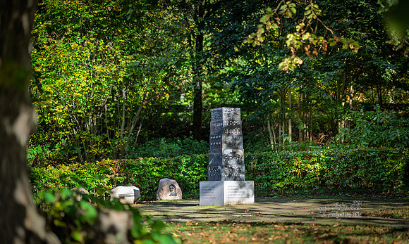 Vester Mølle-web- Fotograf Per Bille-20261017-AAA03538