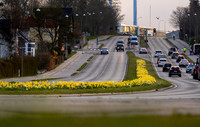 Skanderborg-web-fotograf Per Bille-20250407AAA06341