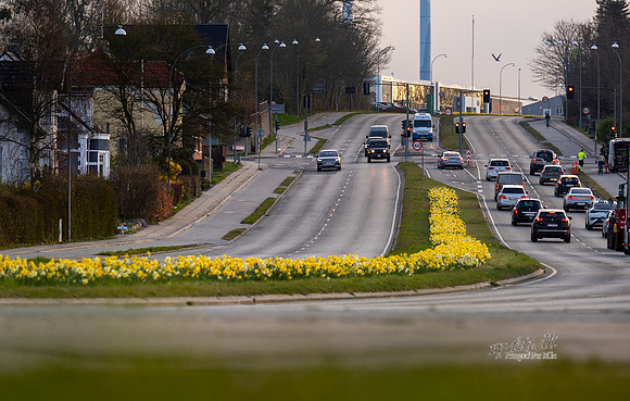 Skanderborg-web-fotograf Per Bille-20250407AAA06341