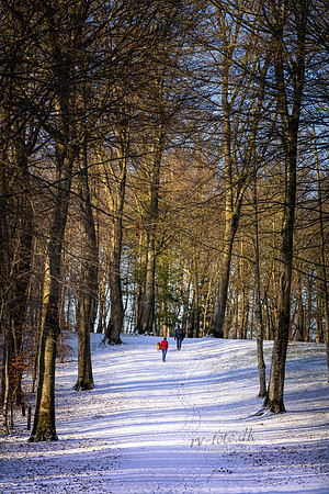 Vinter Skanderborg-web-Fotograf Per Bille-20250103AAA06331