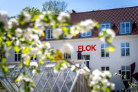 Flok - Fødselsdag-web- Fotograf Per Bille-20260508-AAA09272
