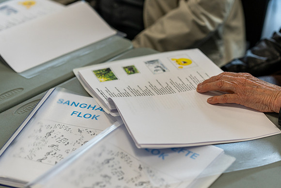 Flok 1 år-web-fotograf Per Bille-20250504DSC02167