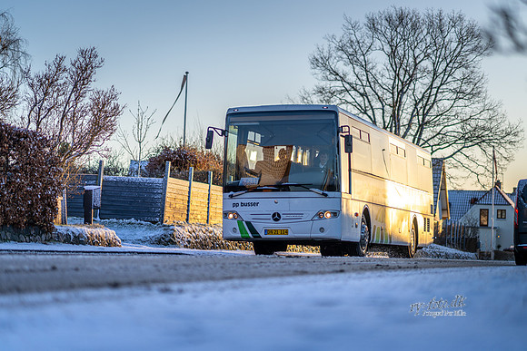 Vinter Ry-web-Fotograf Per Bille-20250103AAA05964