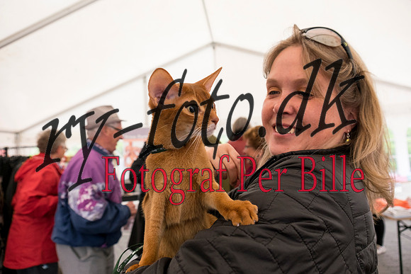 forårs messe-20150509-8134