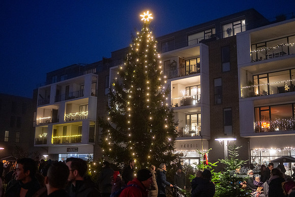 Juletræstænding Ry-print -Fotograf_Per_Bille-20221126DSC06990