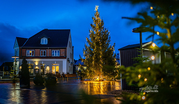 Jul i Ry-print-Fotograf Per Bille-20241222AAA05850