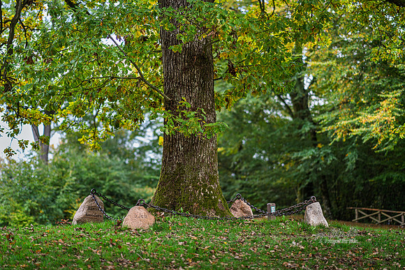 Himmelbjerg-web- Fotograf Per Bille-20261017-AAA03556