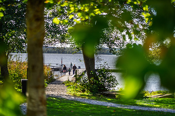 Vester Mølle-web- Fotograf Per Bille-20261017-AAA03536