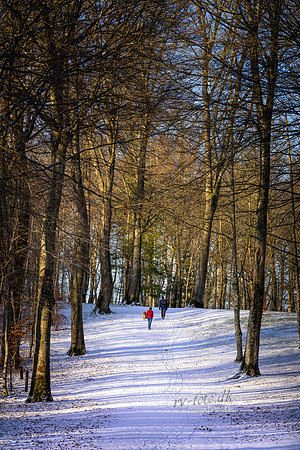 Vinter Skanderborg-print-Fotograf Per Bille-20250103AAA06331
