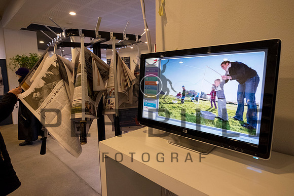 fastelavn-20150214-7617