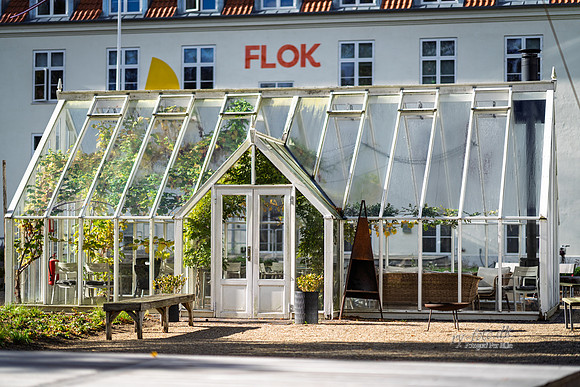Flok-web- Fotograf Per Bille-20261017-AAA03411