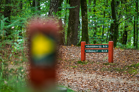 Himmelbjerg-web- Fotograf Per Bille-20261017-AAA03607