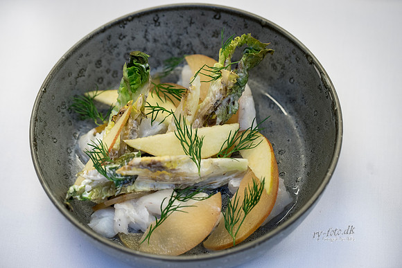 Ry Hotel- fuld opløsning - Fotograf Per Bille-20180118-3404-2
