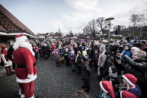 Juletræstænding-20151129-3123