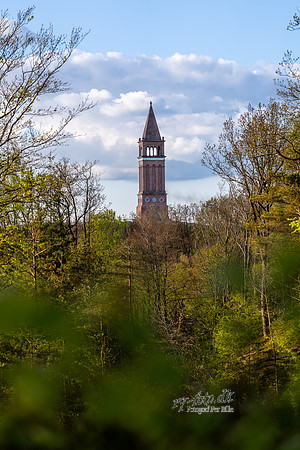 Himmelbjerget-web -fotograf Per Bille-20250424AAA01331