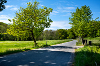 Jeksen Dal-print-fotograf Per Bille-20250512_DSF1490