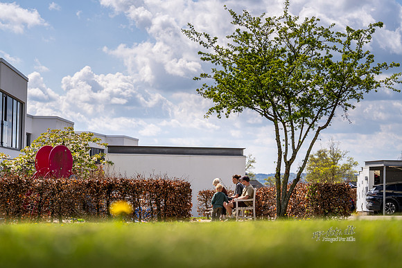 Skanderborg Bakker-web -fotograf Per Bille-20250426AAA01833
