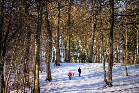 Vinter Skanderborg-print-Fotograf Per Bille-20250103AAA06322