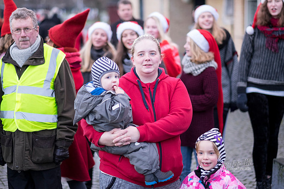 Juletræstænding-20151129-3056