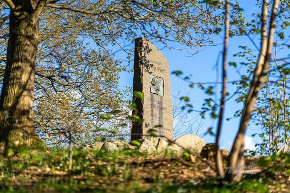 Khynsminde - Ry-web -fotograf Per Bille-20250424AAA01325