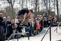 Galten Skatepark - print - Fotograf Per Bille-20190407-05460