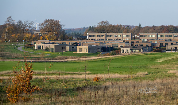 Kildebjerg, Ry-print - Fotograf Per Bille-20211102-DSC03933