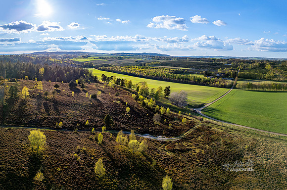 Langebakke - Ry-web -fotograf Per Bille-20250424DJI_0331-Pano
