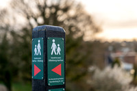 Skanderborg-web-fotograf Per Bille-20250407AAA06332