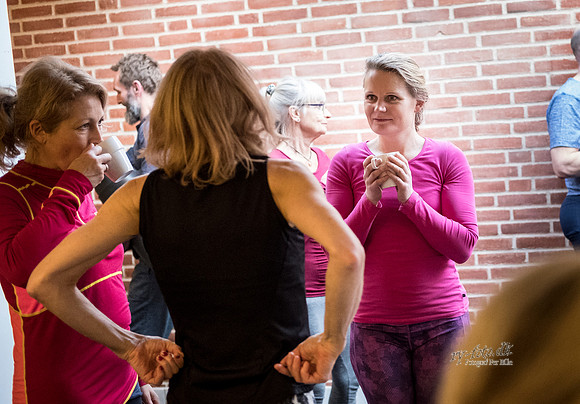 print - yoga på Hotel Ry - Fotograf Per Bille-20170107-4579