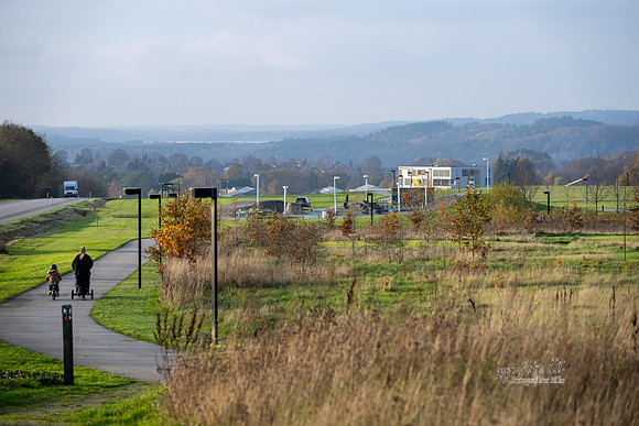 Kildebjerg, Ry-web - Fotograf Per Bille-20211102-DSC03936