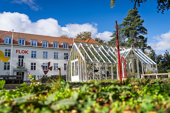 Flok-web- Fotograf Per Bille-20261017-AAA03430