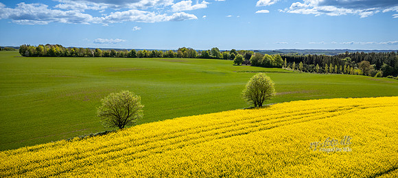 Rapsmark-web-fotograf Per Bille-20250505DJI_0475