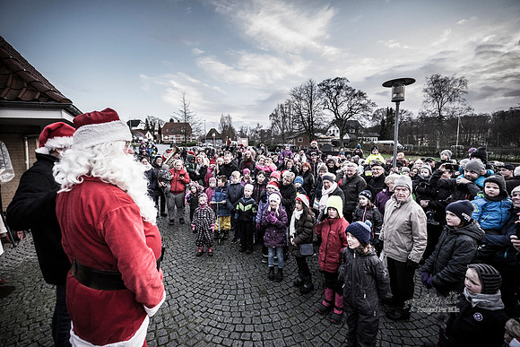 Juletræstænding-20151129-3121