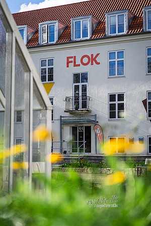 Flok-web- Fotograf Per Bille-20261017-AAA03441