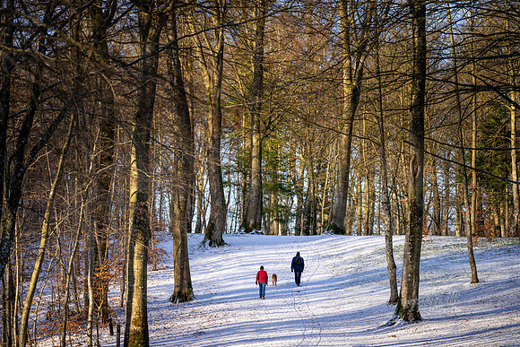 Vinter Skanderborg-web-Fotograf Per Bille-20250103AAA06322