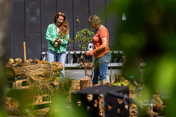 Stemning Tirsdag-web-Fotograf Per Bille-20250624-AAA02011