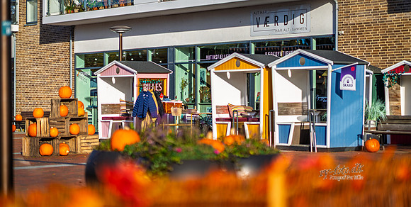 Bytorvet Ry-web- Fotograf Per Bille-20261019-DSC05126