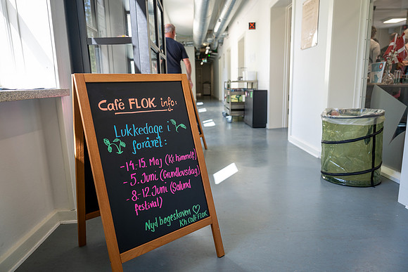 Flok - Fødselsdag-web- Fotograf Per Bille-20260508-DSC07835