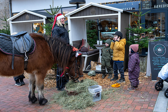 Jul i Ry-web - Fotograf_Per_Bille-20221211DSC08726