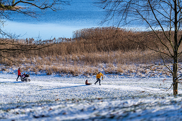 dyrehaven-web-Fotograf Per Bille 20260103-AAA02677