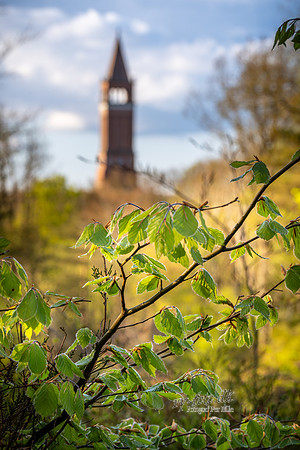 Himmelbjerget-web -fotograf Per Bille-20250424AAA01337